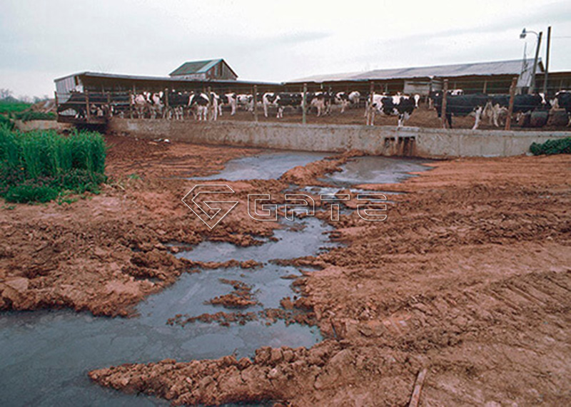 organic fertilizer production plant