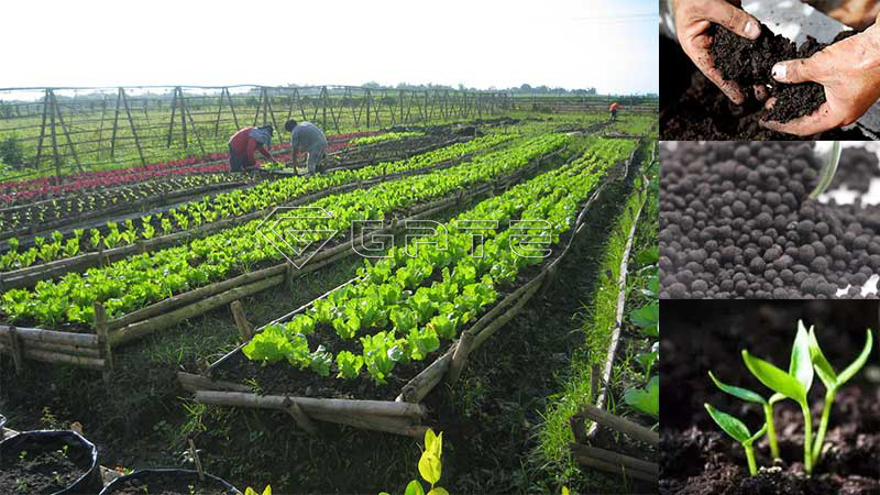 organic fertilizer market philippines