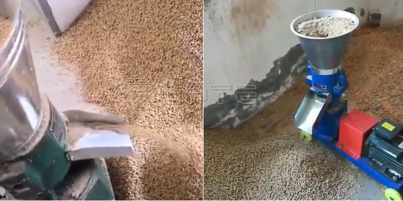 Chicken manure fertilizer pellet granulator machine manufacturer